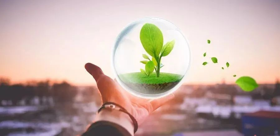 凱創(chuàng)感染類疾病診斷的三大利器:CRP、SAA和PCT